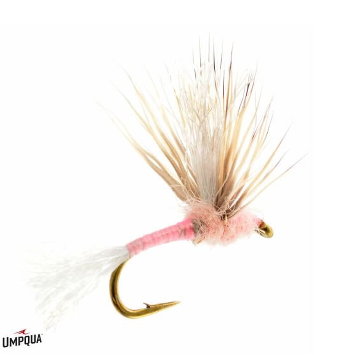 Improved Sparkle Dun Pink Lady