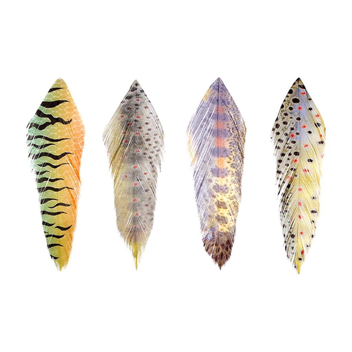 MFC - Galloup's Fish Feathers