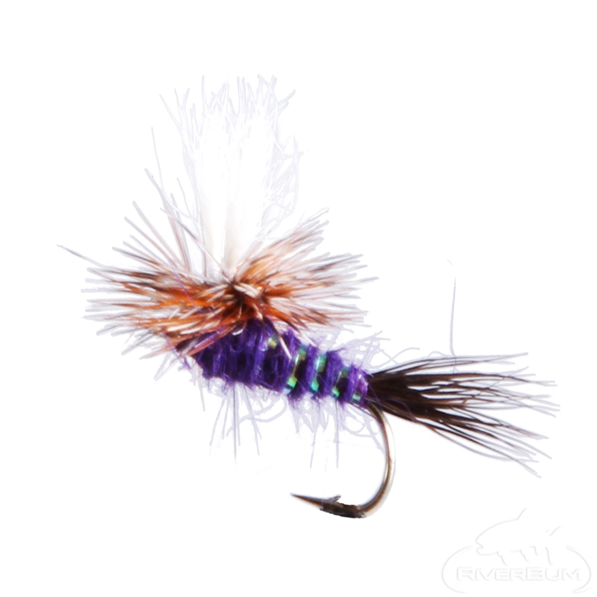 Purple Wulff